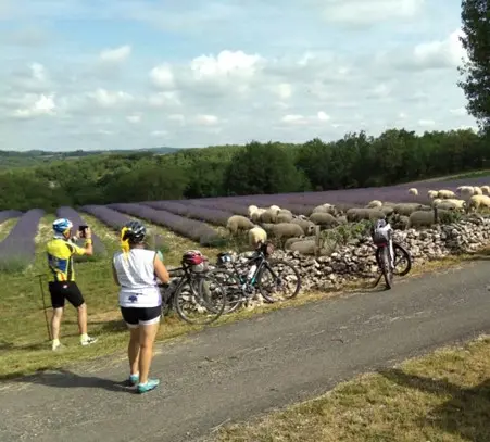 46km cyclo des lavandes