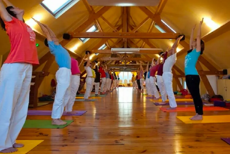 yoga-sivananda