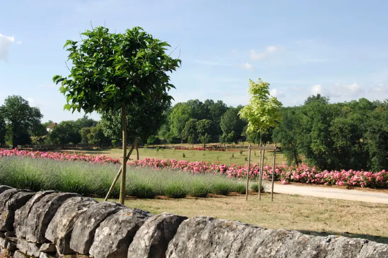 Jardin