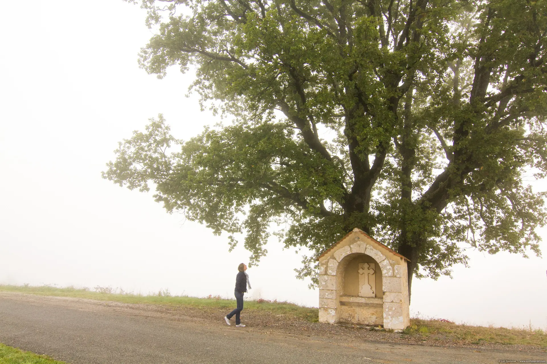 Cambayrac - Abris et Grand Chêne