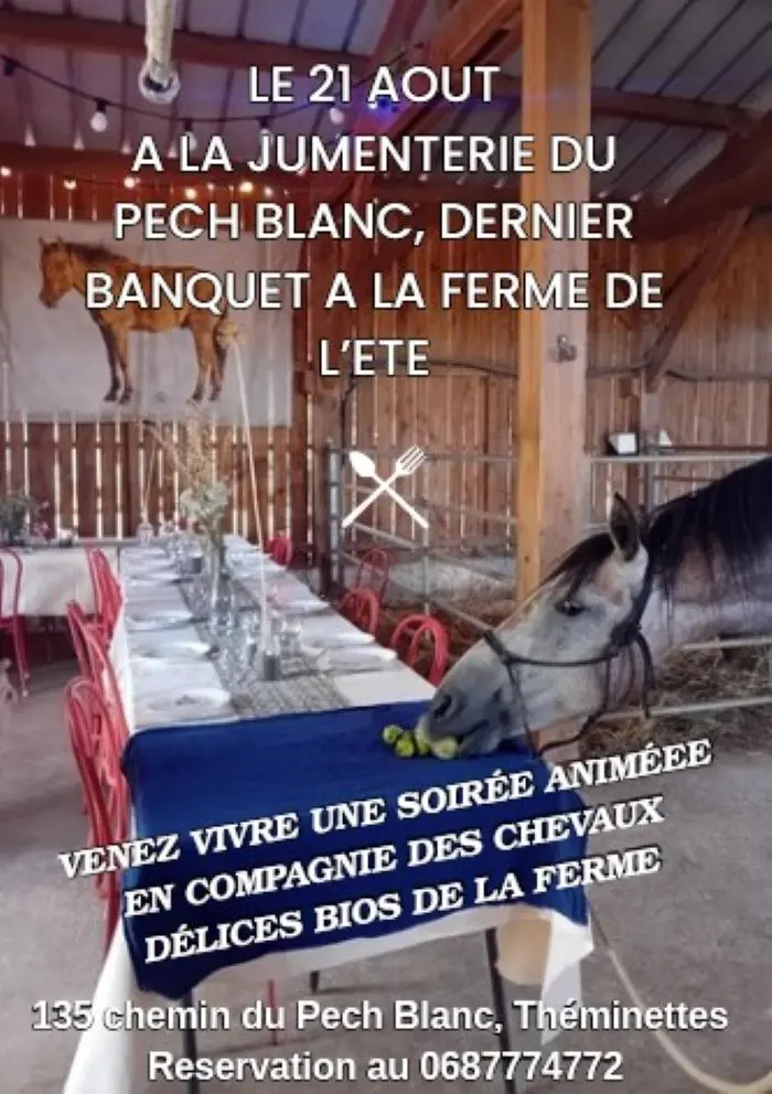 Affiche 21 Aout