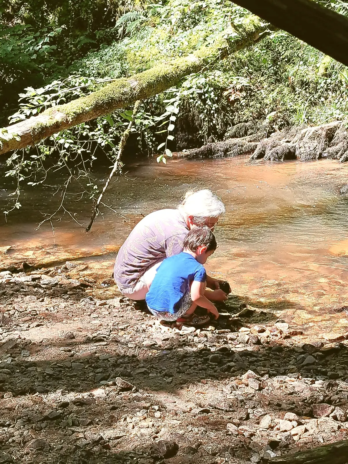 Anim PPPV Découverte de la rivière