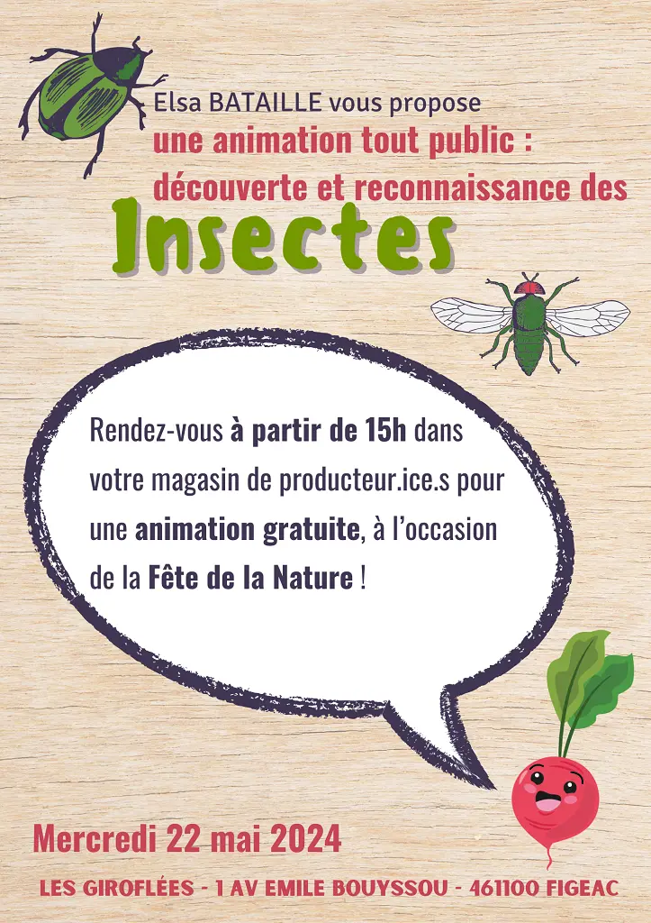 Animation INSECTE pour la Fête de la Nature ! - 1
