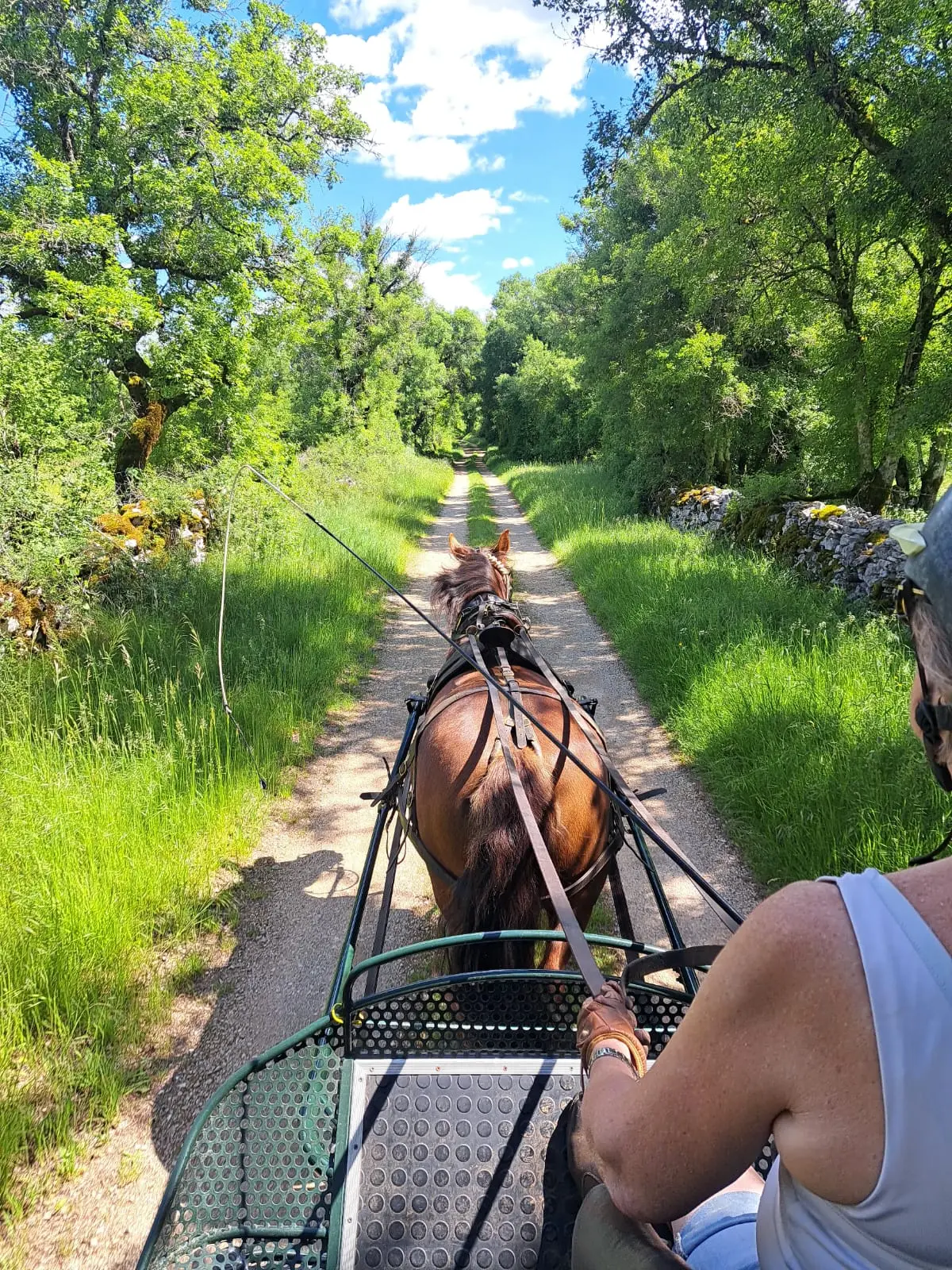 Attelage sur le Causse