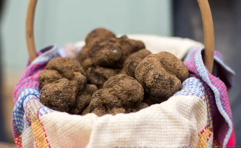Au Marché aux truffes à Lalbenque
