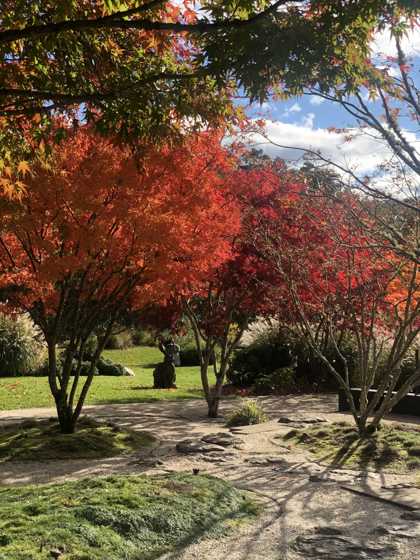 Automne aux jardins Sothys
