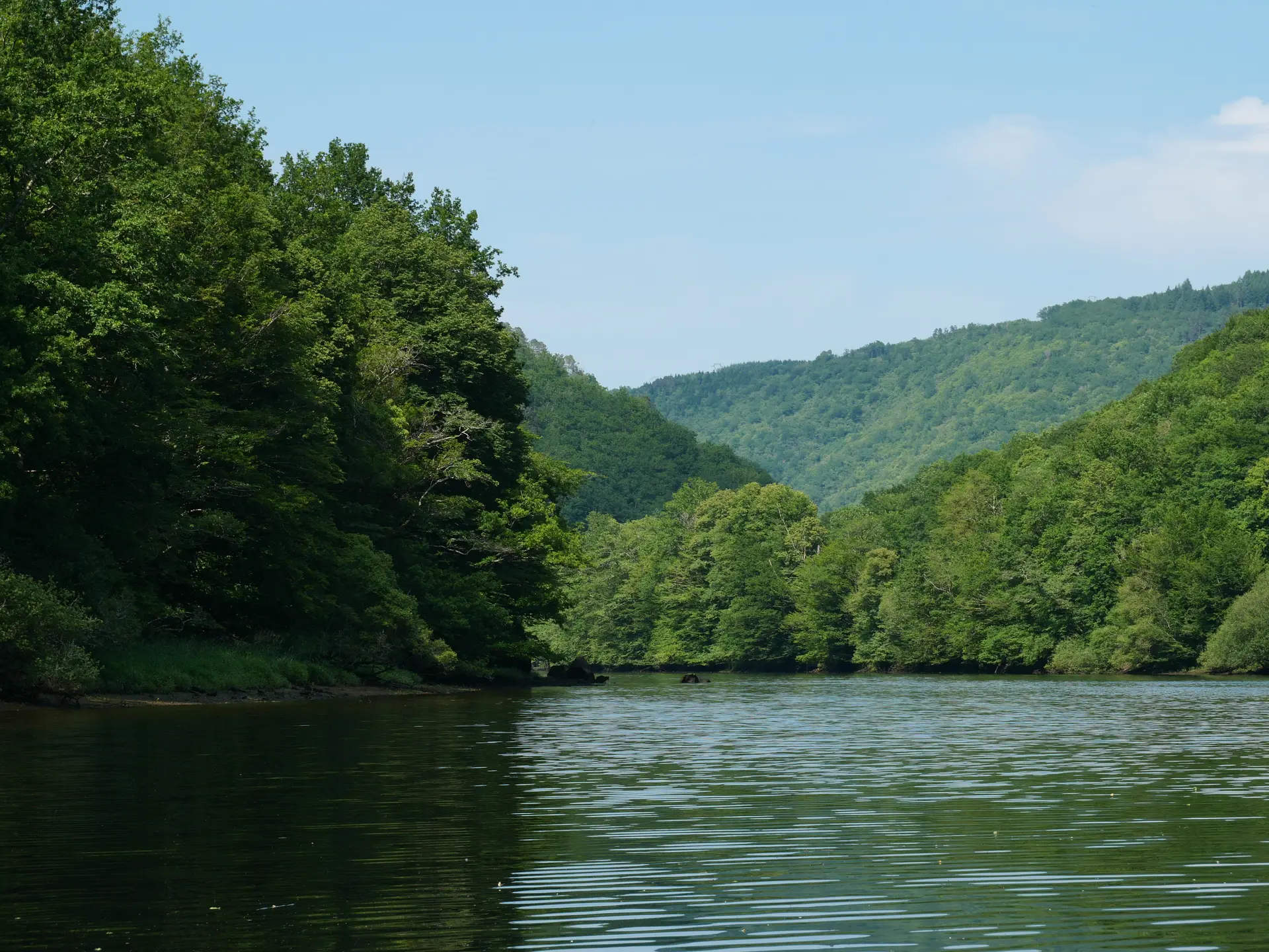 Balade_en_gabare_a_Argentat-sur-Dordogne-Melanie_Petit-4991
