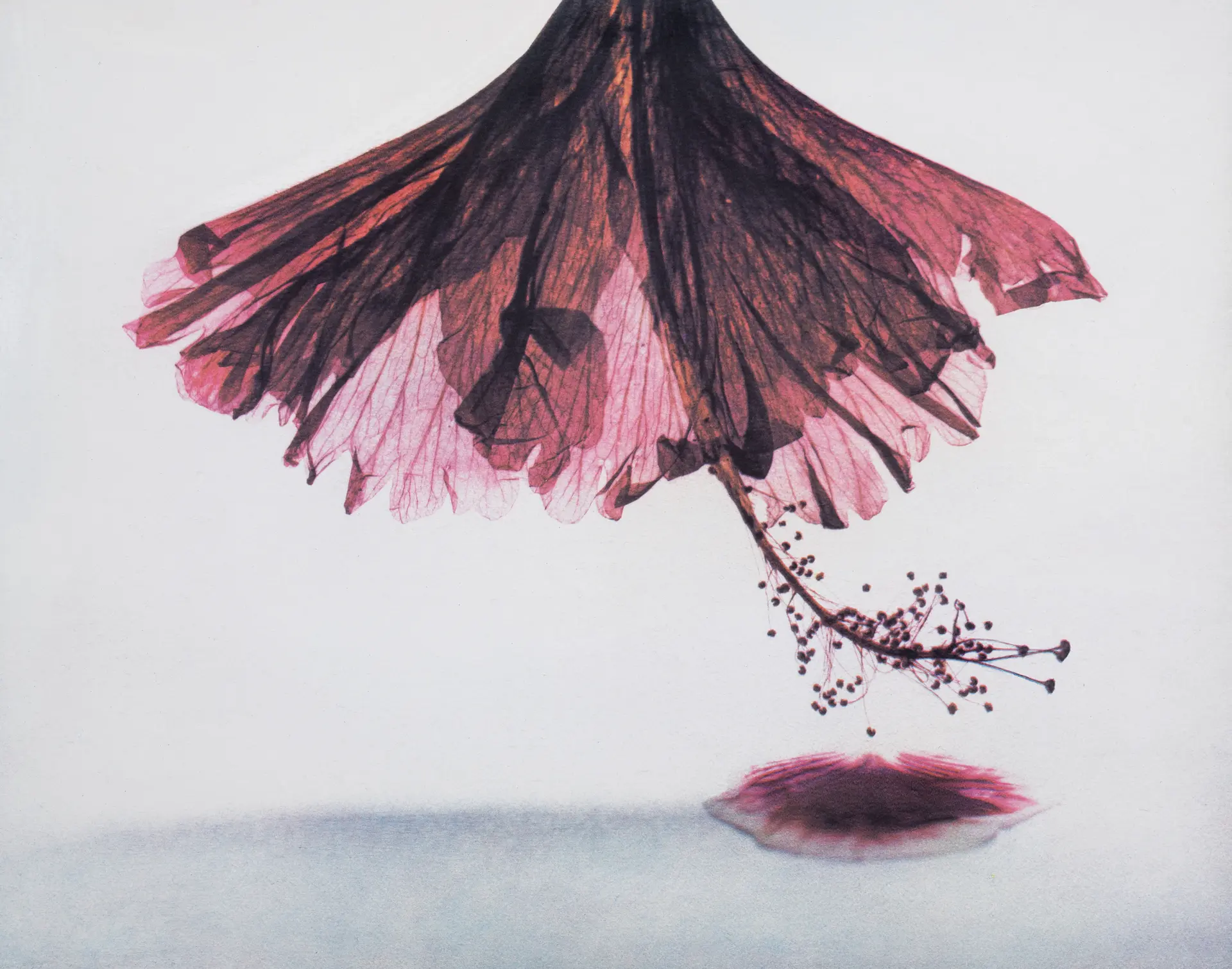 Bertrand Hugues_expo_L'impermanence_Strenquels_Galerie Louie
