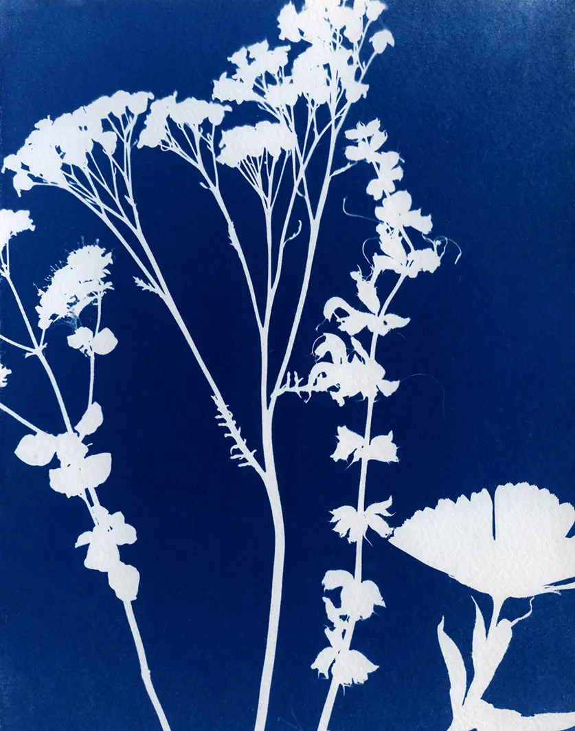 Bouquet001