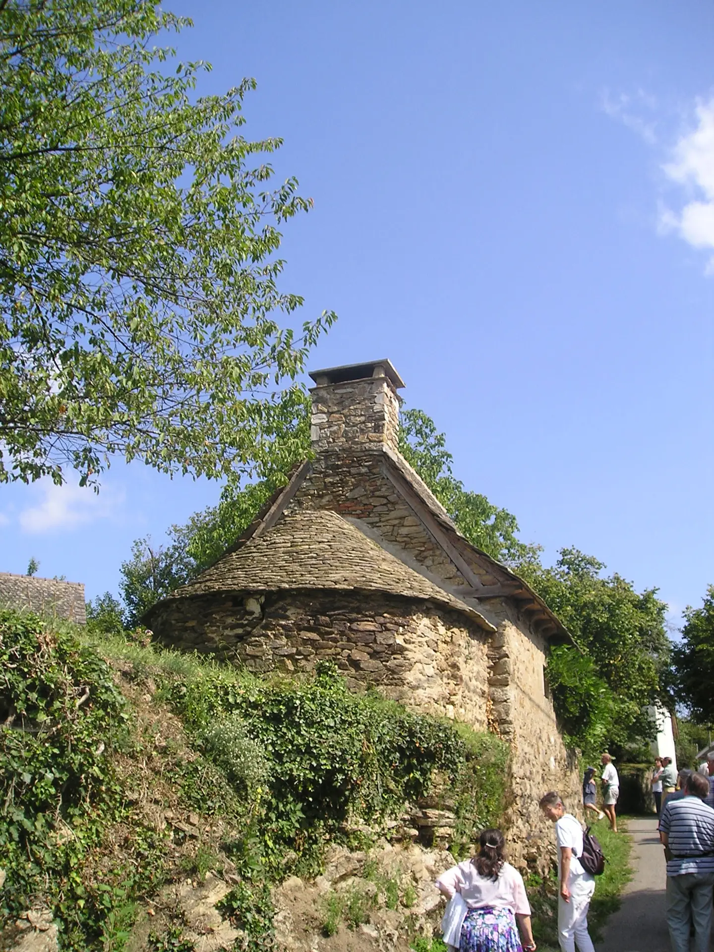 Cahus