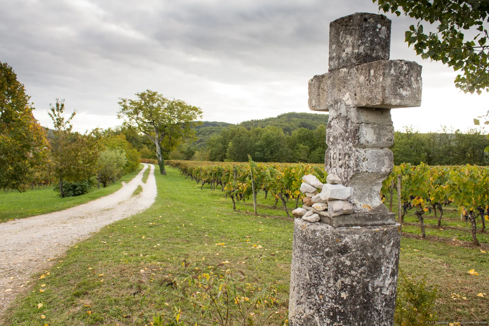 Caillac - Calvaire et Vignes à Caillac