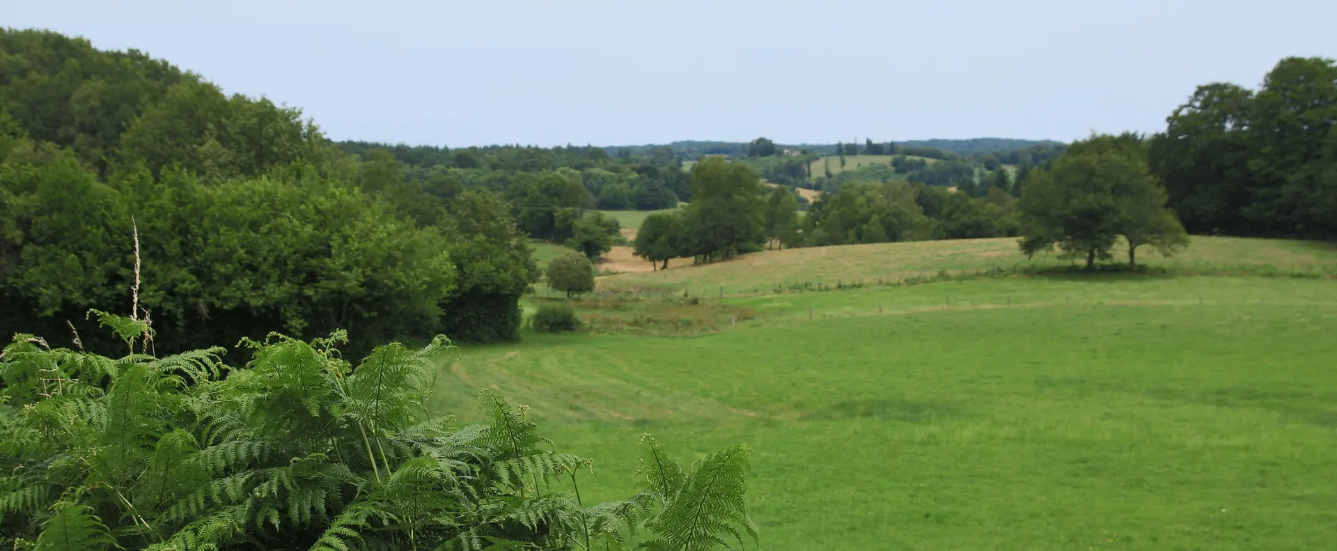 Calviac les vieux chemins d'auvergne