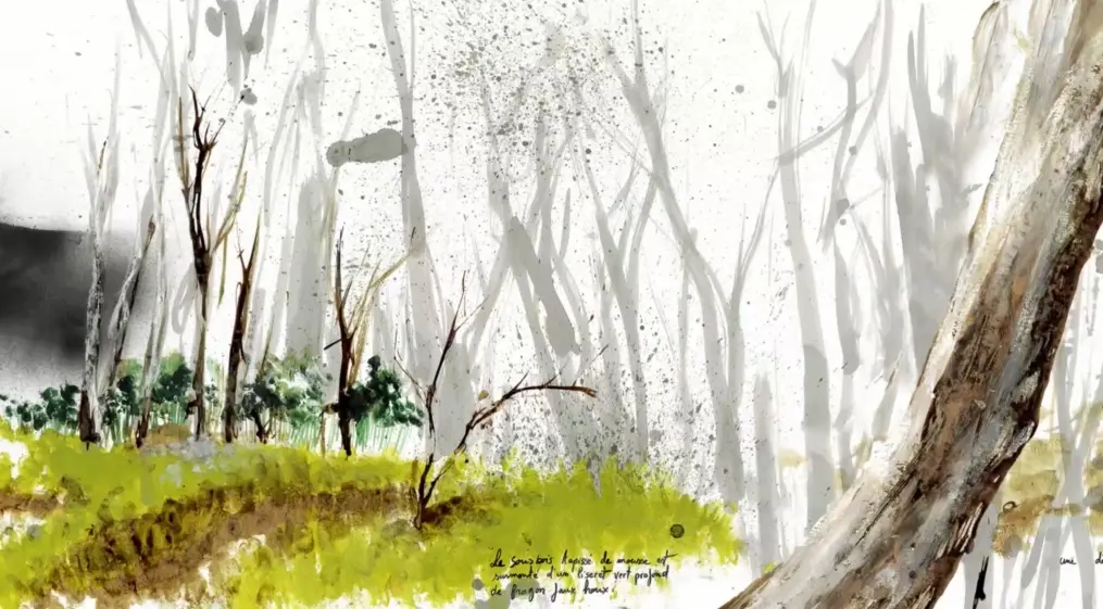 Capture Rouleaux de Paysages