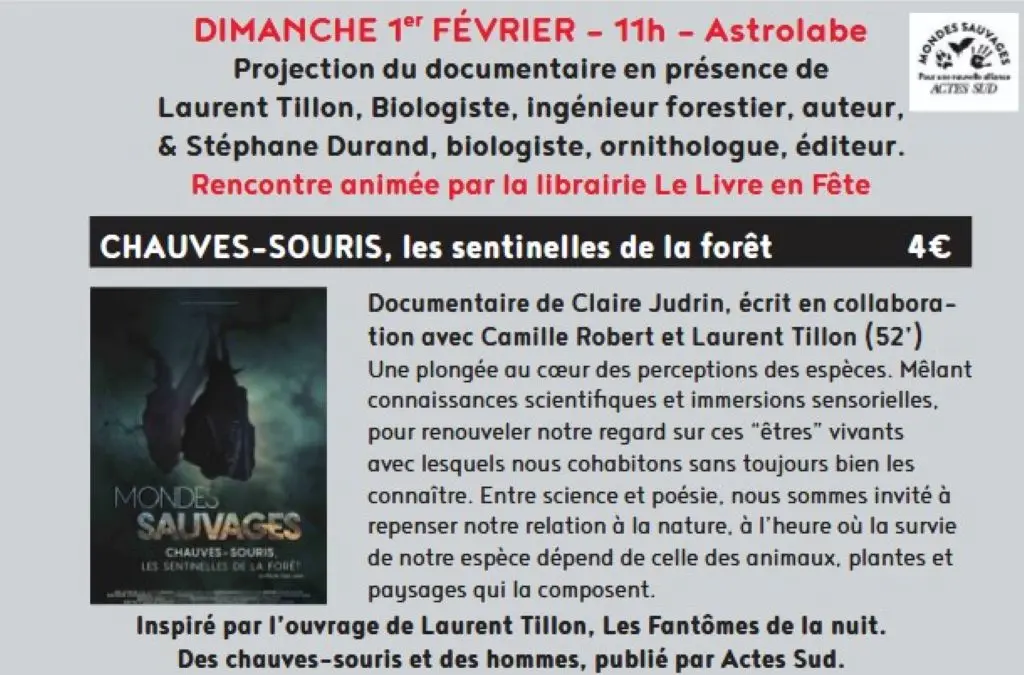 chauves-souris, les sentinelles de la forêt