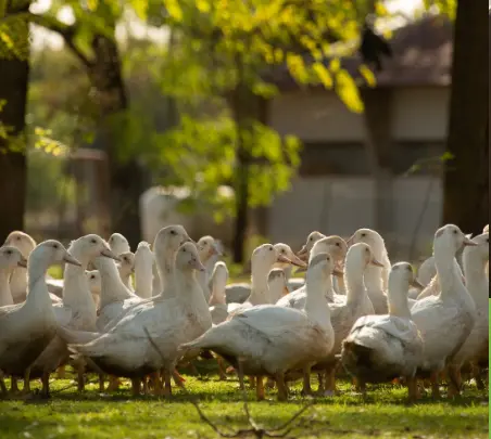 Capture d'écran 2026-04-14 110316