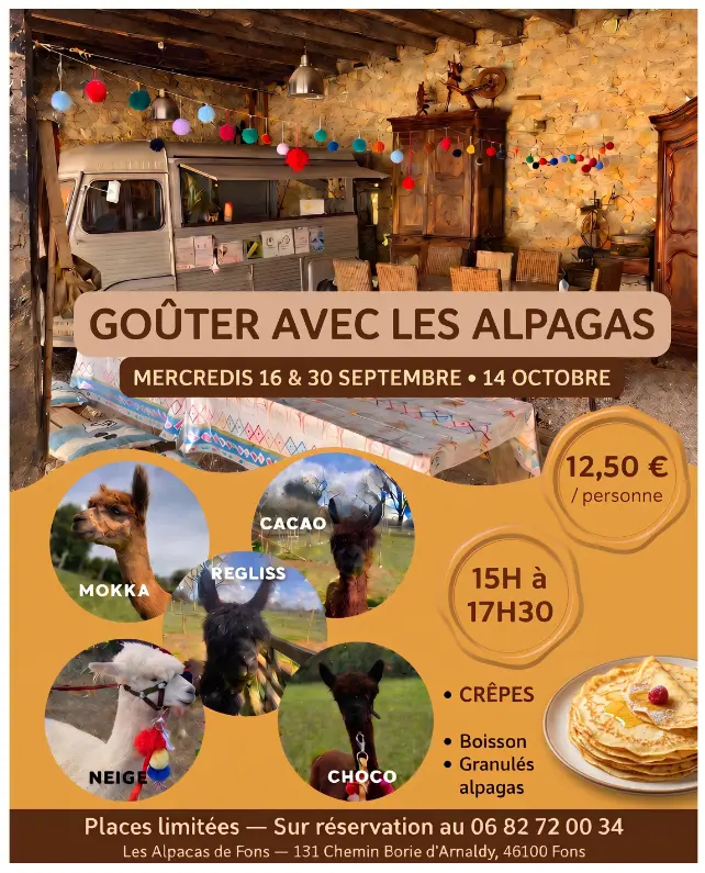 gouter avec les alpagas