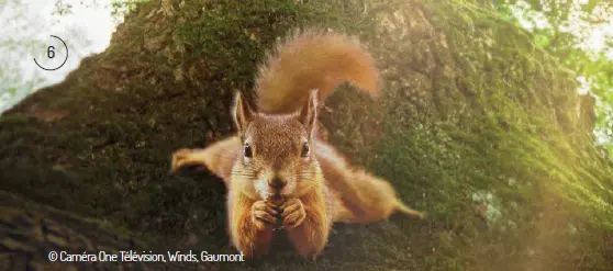 CaptureLeChêneetseshabitants