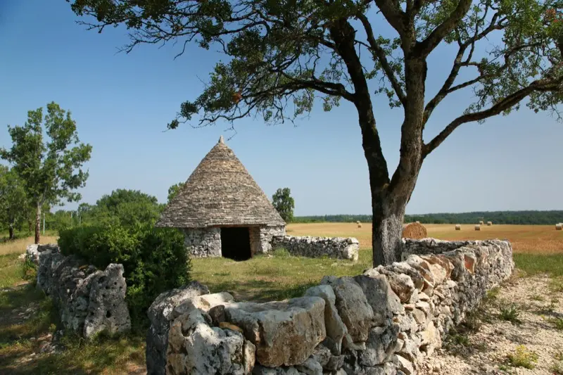 Cazelle de Nouel - Lalbenque