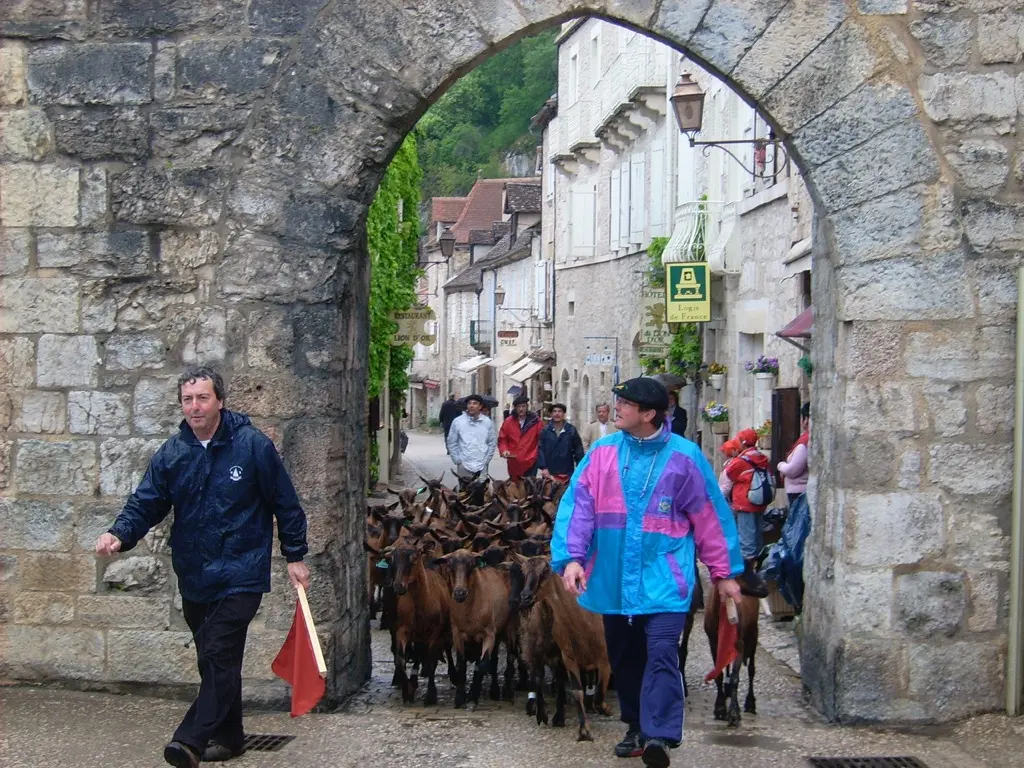 Chèvres Porte du Figuier