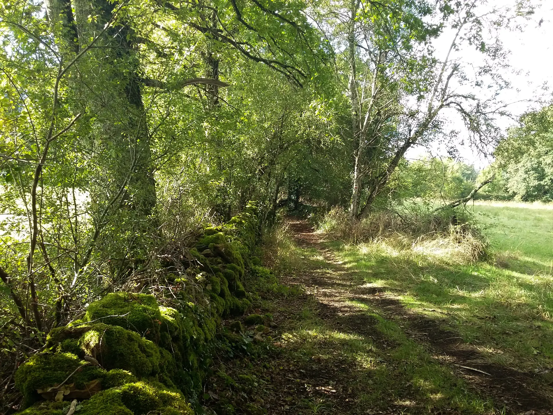 Chemin - circuit le chemin aux deux visages_19 © Lot Tourisme - A. Leconte