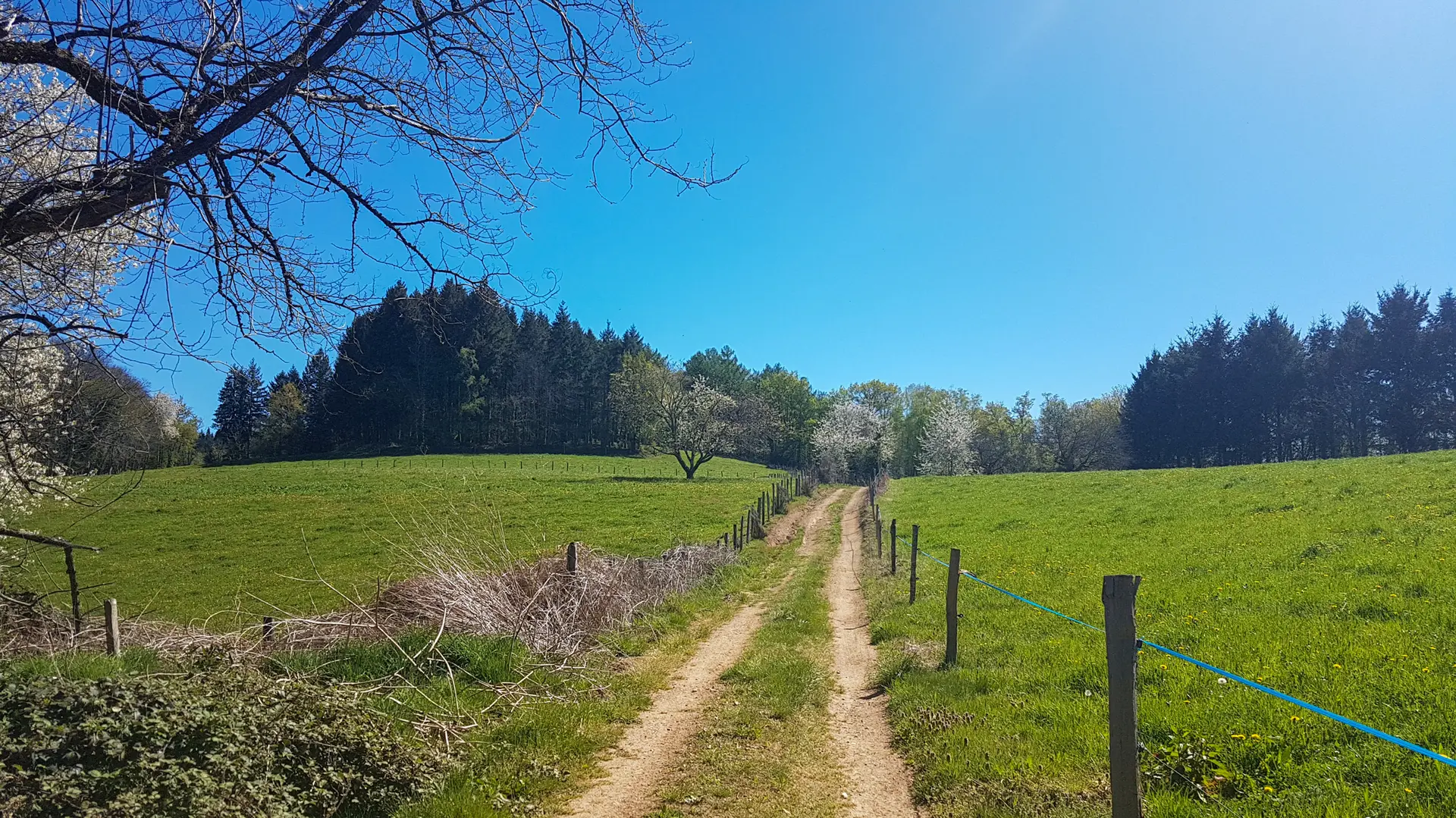 Chemin de Teyssieu à Estal