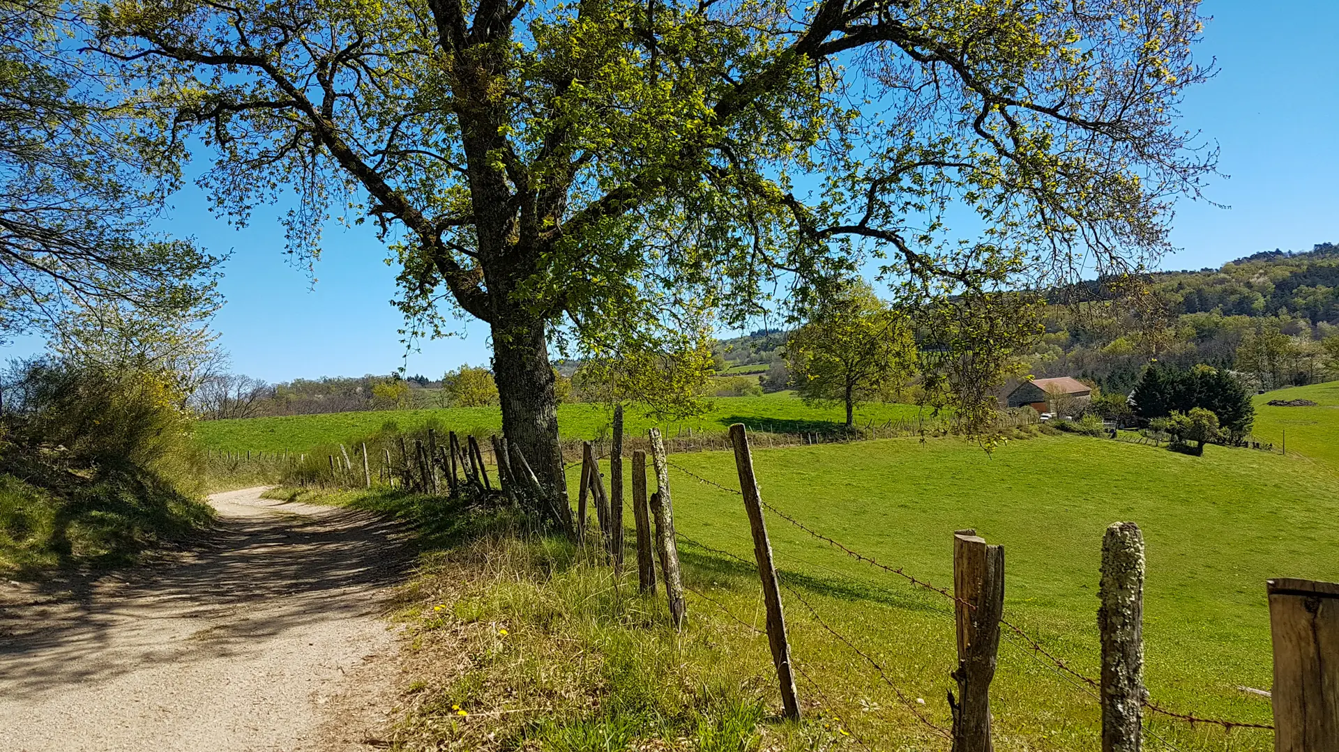 Chemin de Teyssieu à Estal