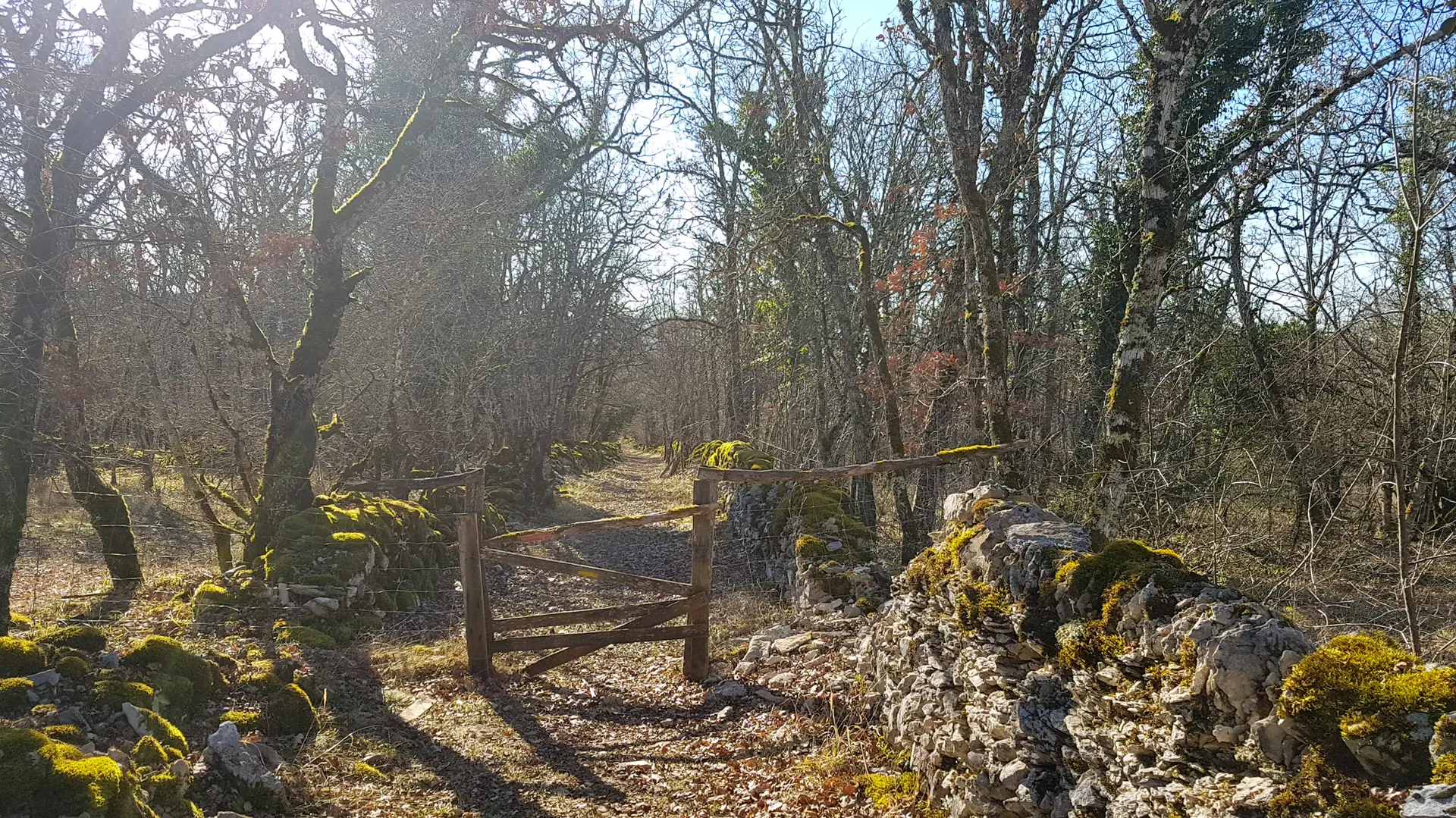 Chemin du causse sur le sentier de Henri