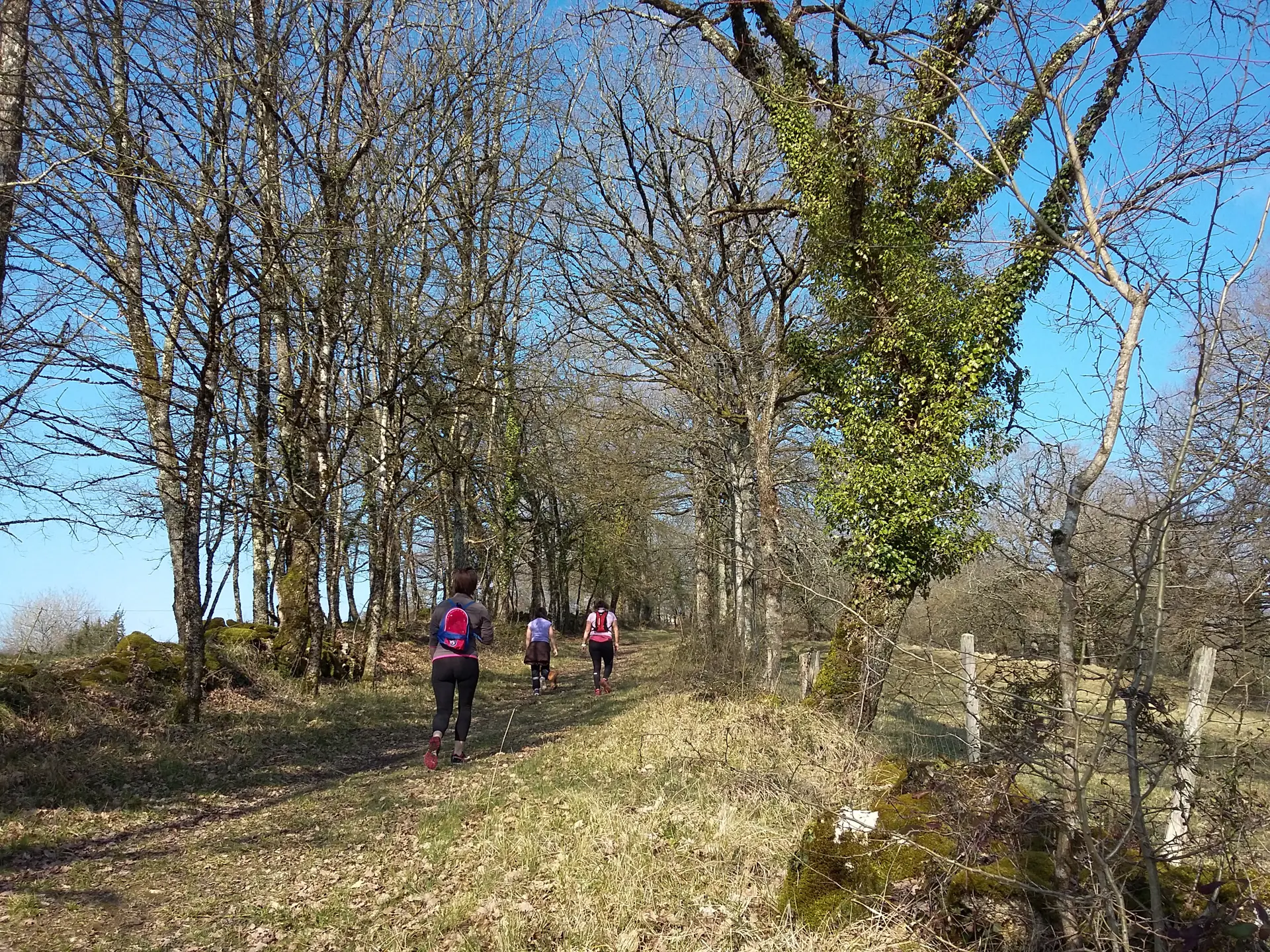 Aynac - Chemin et Muret