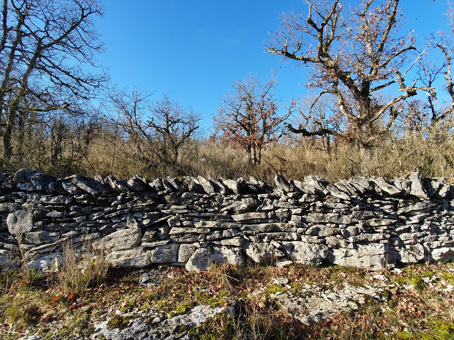 Circuit ENS des Cazelles à Marcilhac sur Célé