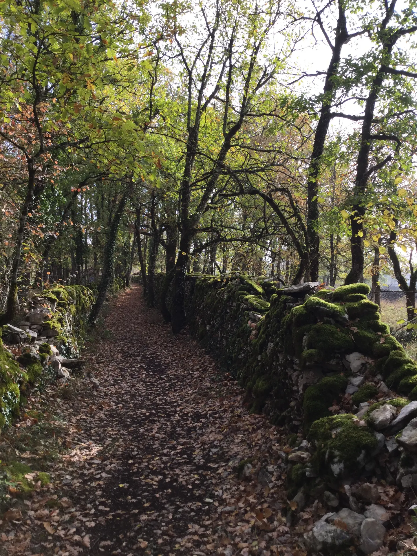 Circuit Les dolmens de Miers - murets et chemin -OT VD Gloria Lafarge