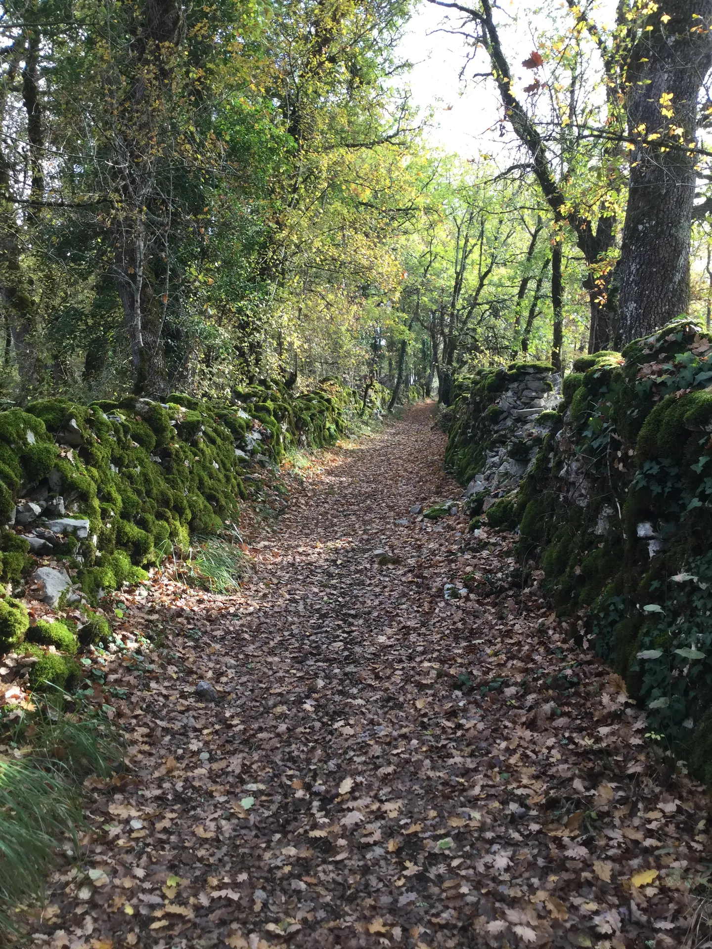 Circuit Les dolmens de Miers - sentiers - OT VD Gloria Lafarge