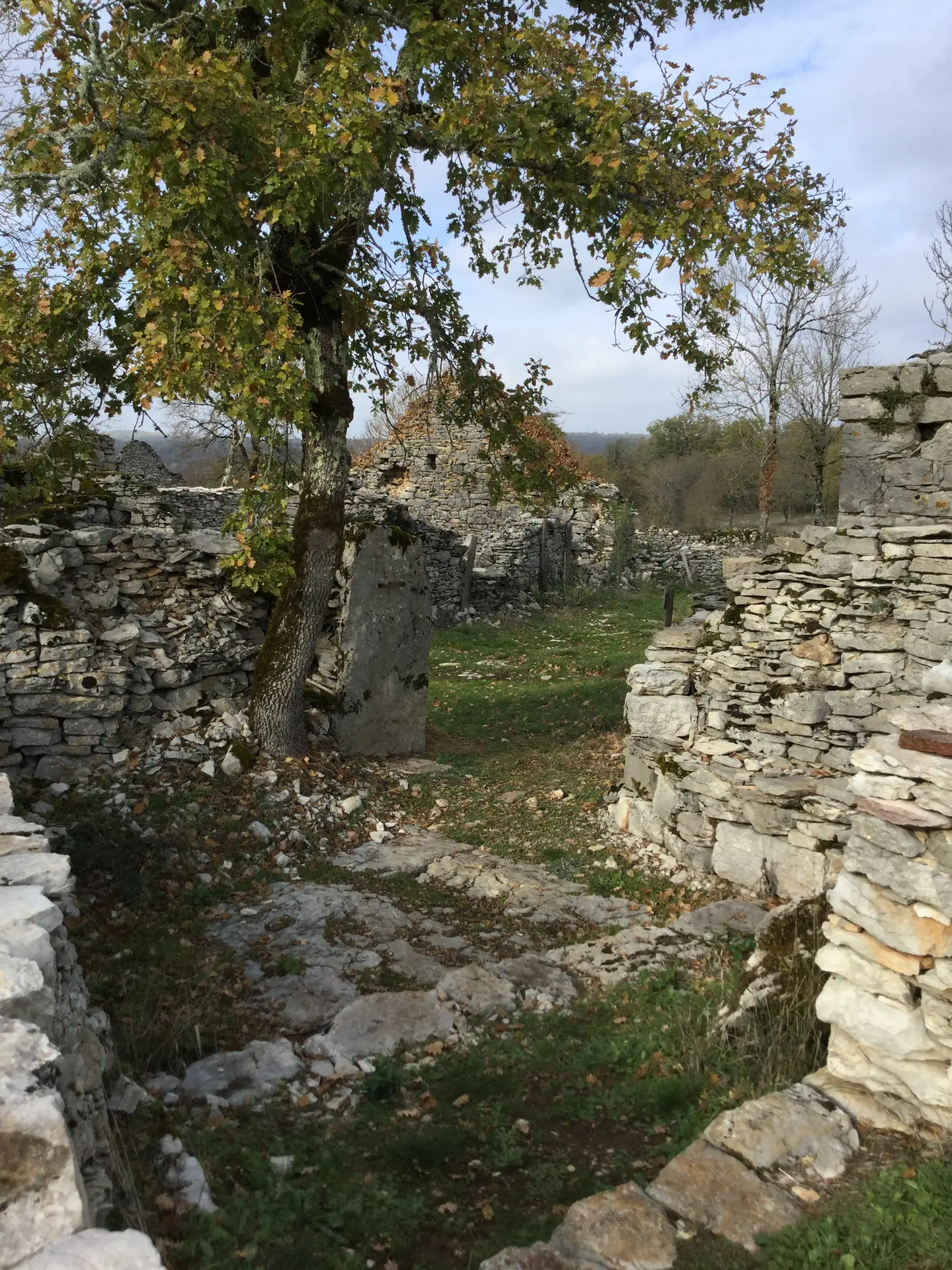 Circuit Les dolmens de Miers 4 - OTVD Gloria Lafarge