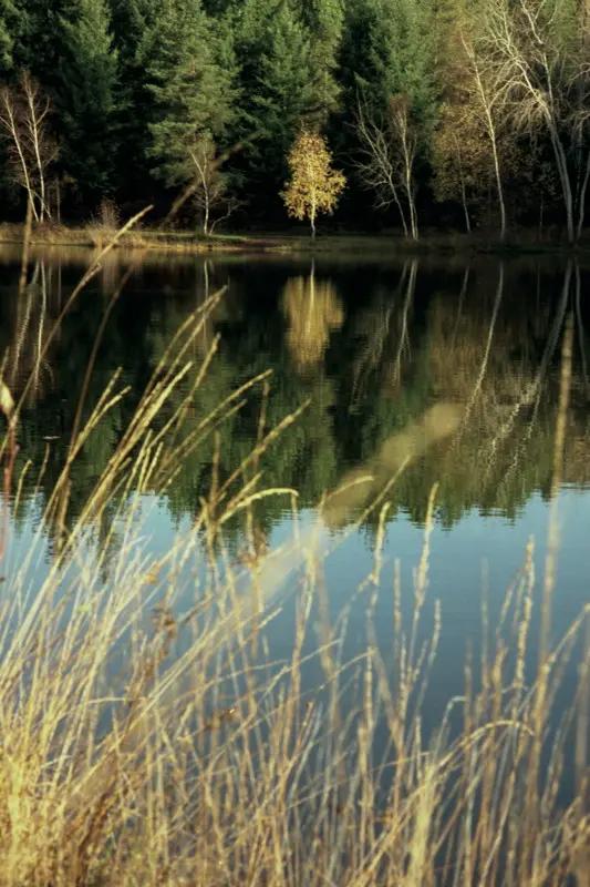 Cardaillac : Plan d'Eau des Sagnes