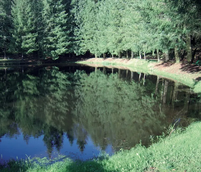 Latronquière : Etang du Roc