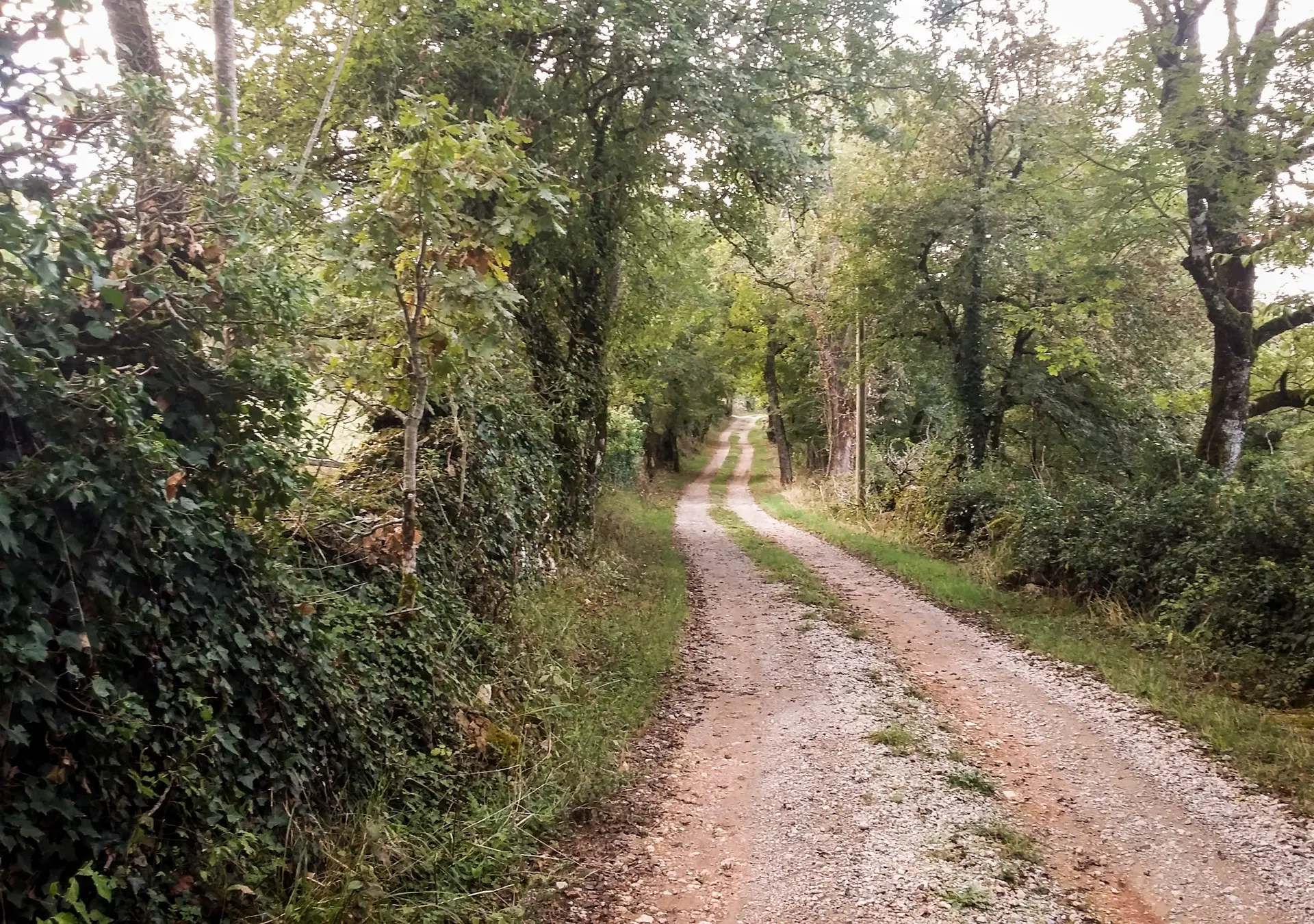 Circuit le chemin aux deux visages_21 © Lot Tourisme - A. Leconte