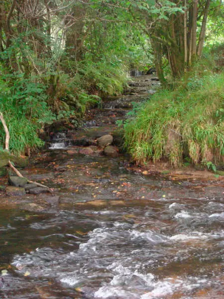 Ruisseau