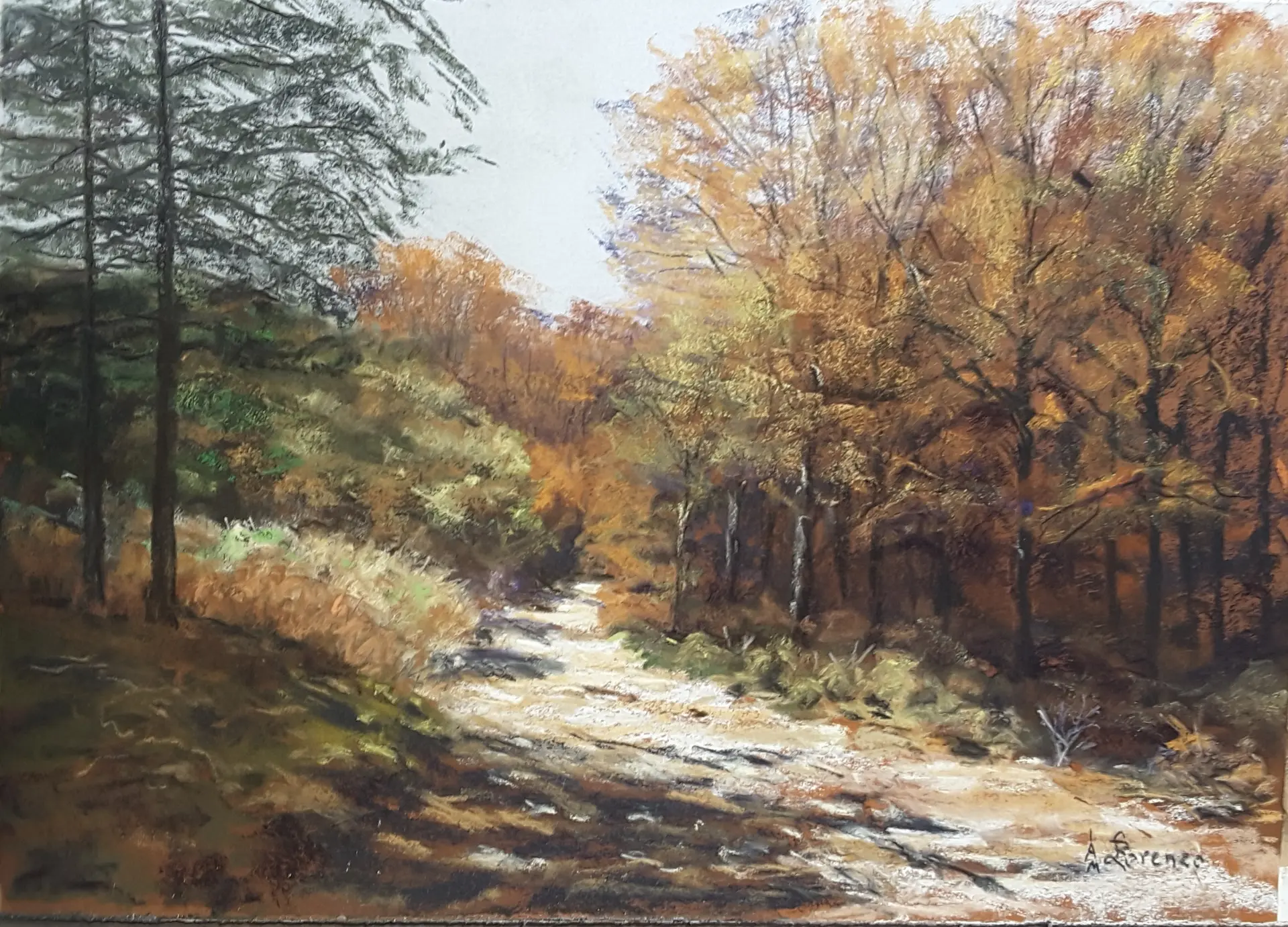 Couleurs d'automne