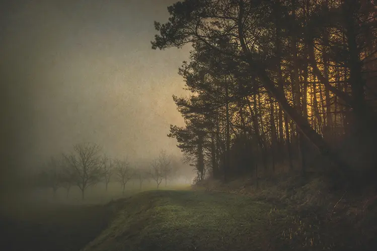 Dark Winter Morning