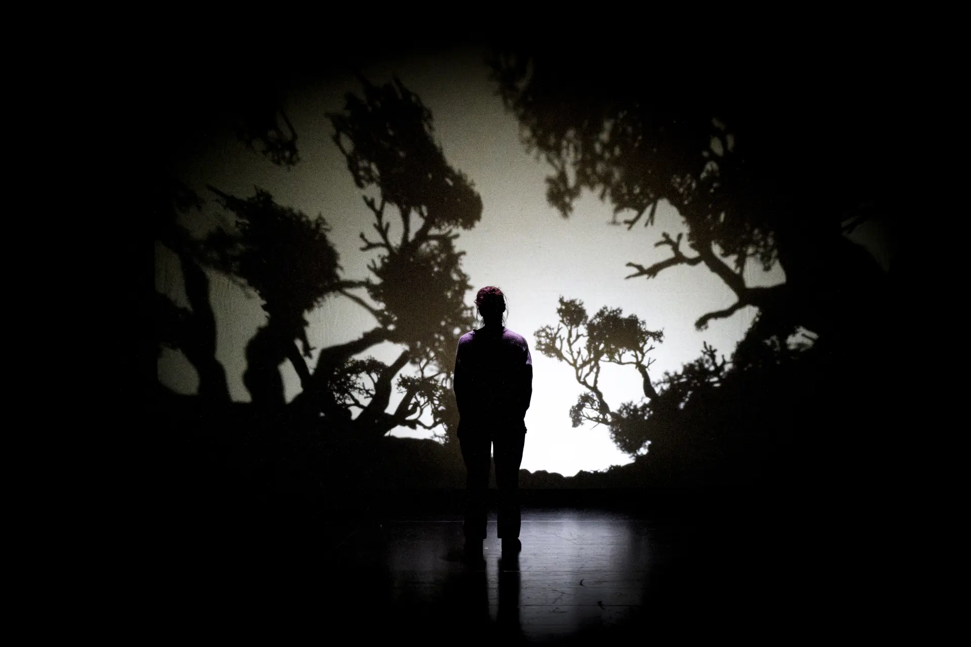 Dominique toute seule 4