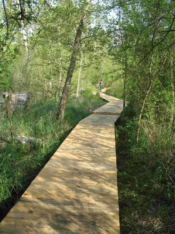 Sentier sur caillebotis