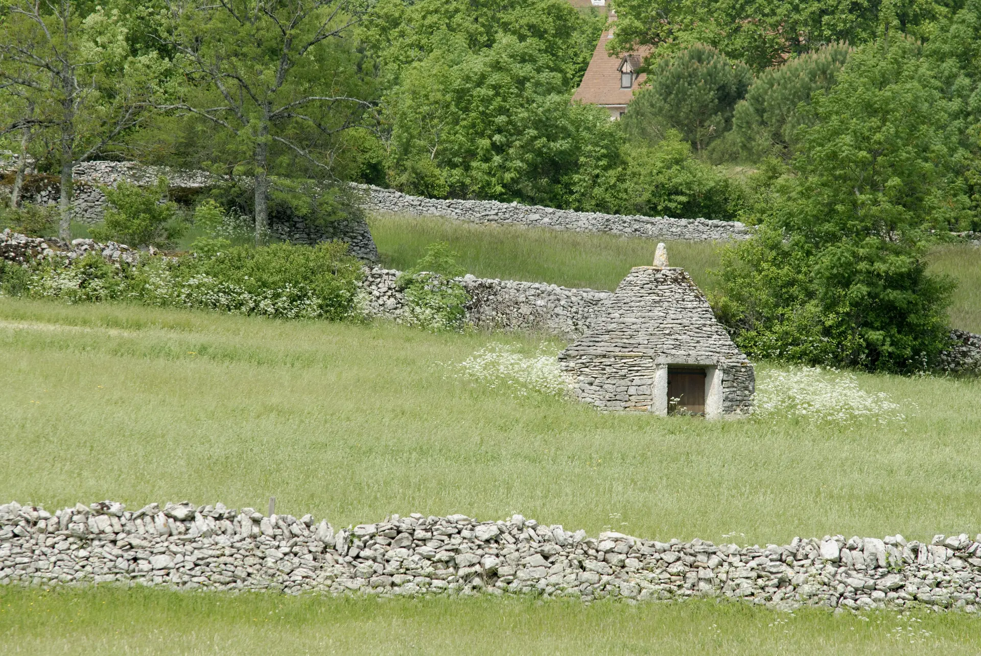 ESPEDAILLAC-caselle