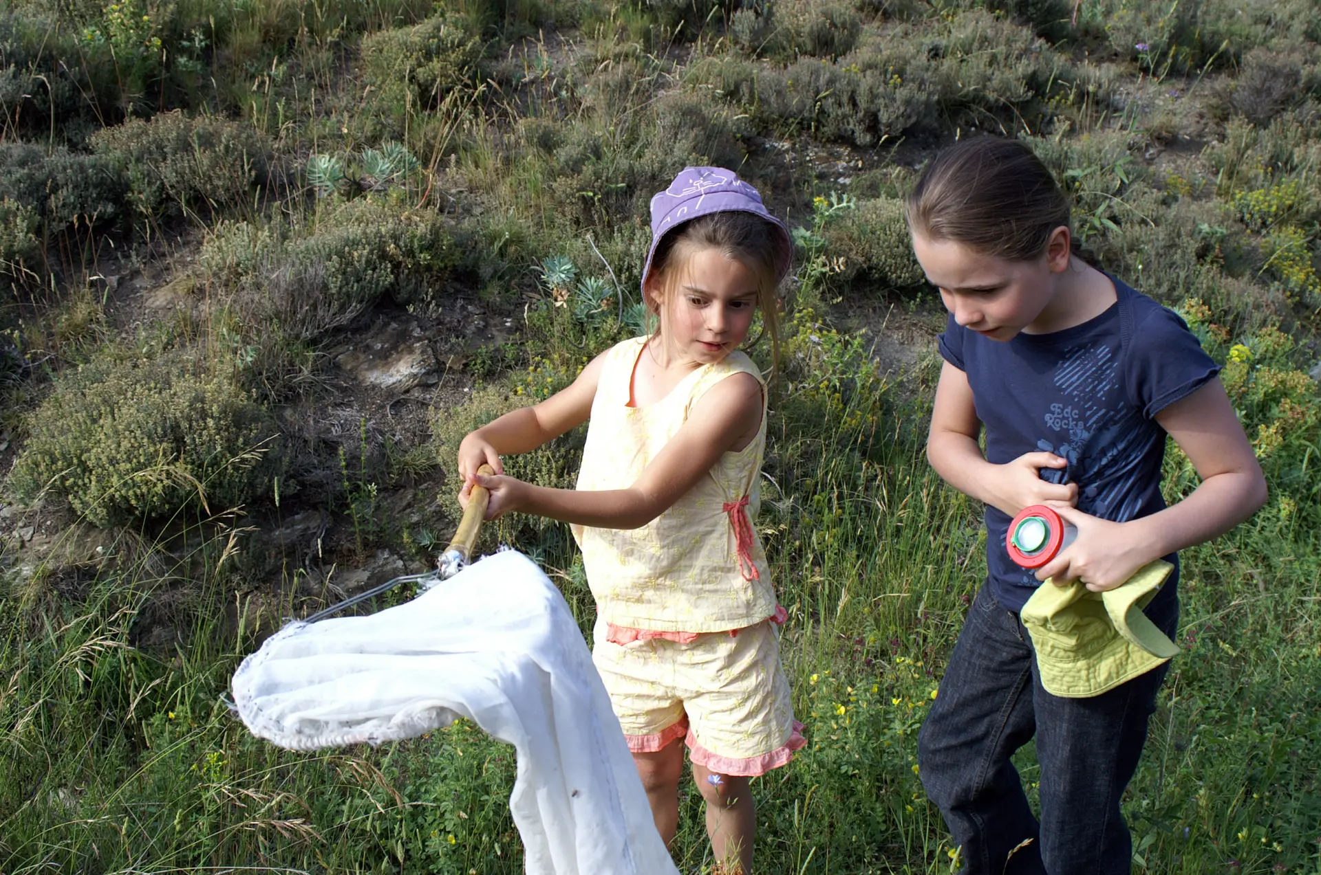 Animation-découverte des petites bêtes des prairies