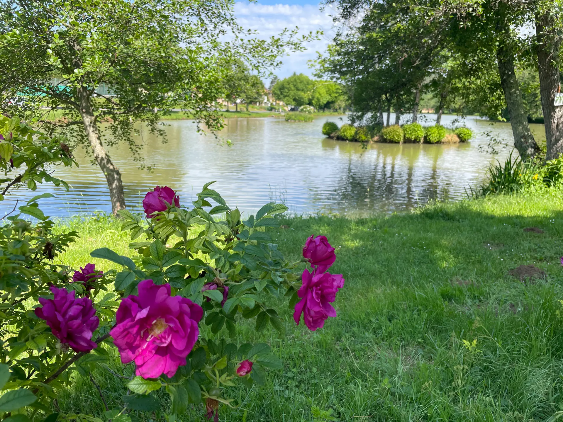 Etang de Payrignac