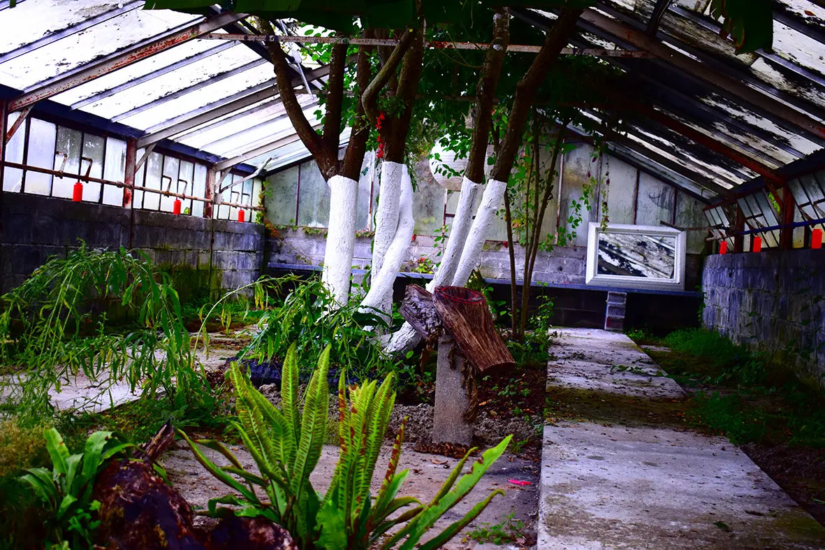 Expo en préparation Serre 2 Loulier ©Jacques Bernus