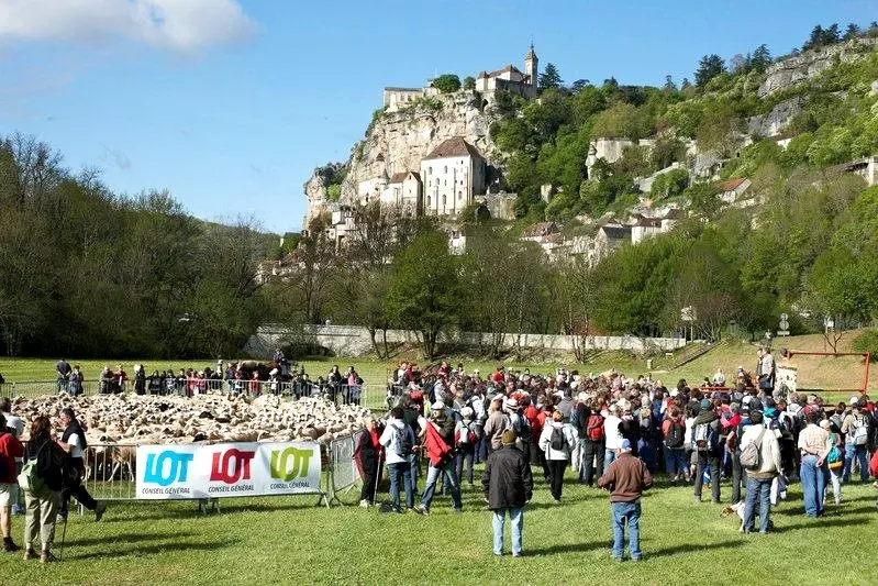 Transhumance Rocamadour-Luzech