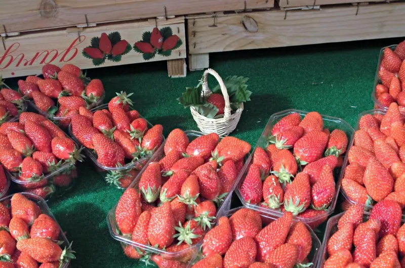 2Fraise-030511-016