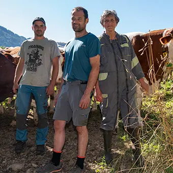 Ferme des Bertrands
