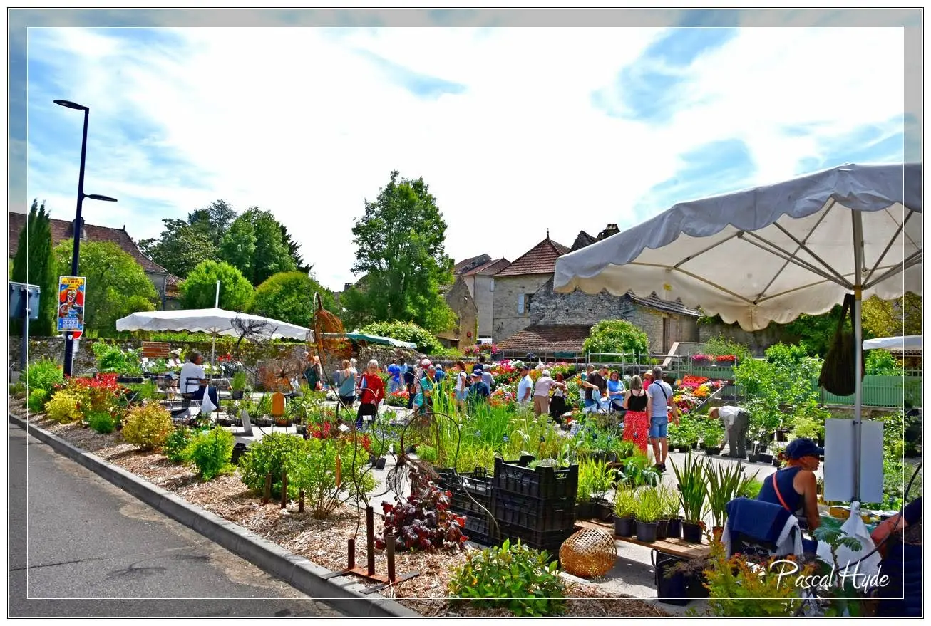 Fête des plantes rares Salviac