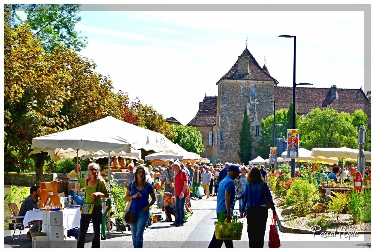 Fêtes des plantes Salviac 25©Pascal Hyde