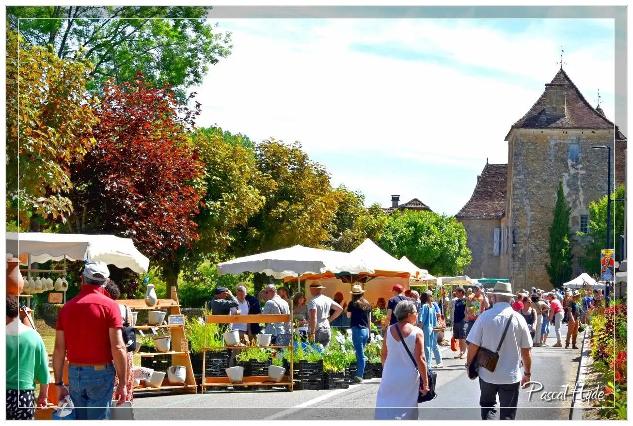 Fêtes des plantes rares Salviac 2025©Pascal Hyde